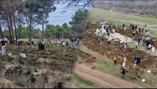 Muaji i pyllëzimit, nxënësit mbjellin pemë në Vlorë e Dibër