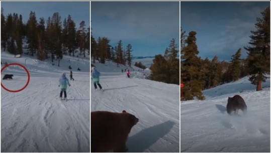 VIDEOLAJM/ Ariu futet me vrap në mes të pistës së skive, skiatorët shmangin përplasjen