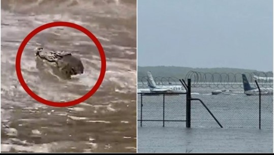 Përmbytjet në Australi/ Aeroporti i zhytur në ujë! Krokodilat shihen në mes të qytetit pas reshjeve të dendura të shiut (VIDEO)