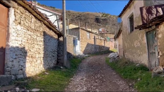 VIDEO/ Emigrimi prek fshatin Tren të Devollit, mbeten vetëm të moshuarit
