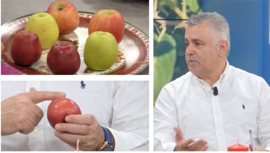 Cila është molla më e mirë në vend? Eksperti Pilku ngre alarmin për importin e mollëve…