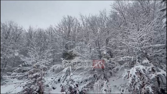 VIDEO/ Reshje dëbore edhe në Malësinë e Krujës, trashësia arrin deri në 15 cm