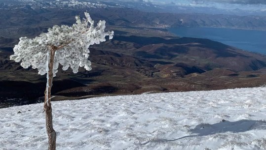 Bora ofron pamje spektakolare në Malin e Thatë, turistët sfidojnë temperaturat për të shijuar pamjen fantastike të liqenit të Pogradecit dhe Prespës