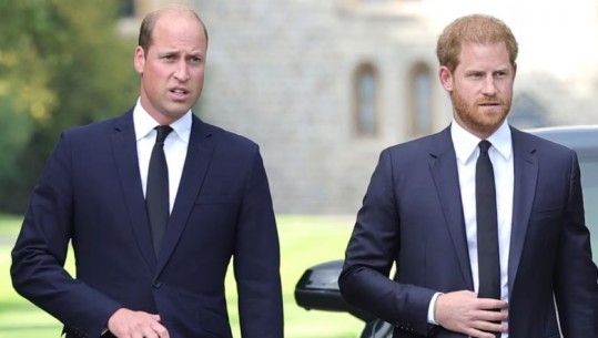 Fraza sekrete që përdorin Princ William dhe Princ Harry në momente jo të mira: Betohem në jetën e mamasë