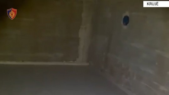 VIDEO/ Fshihej në një dhomë të nëndheshme, kapet 52-vjeçari në Krujë! Në kërkim për kultivim droge