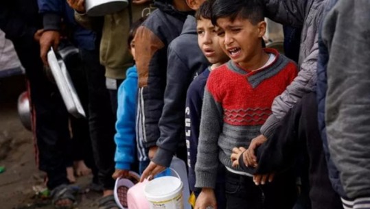Drita jeshile për ilaçet, ndihma e kërkuar nga OKB-ja mbërrin në Rripin e Gazës