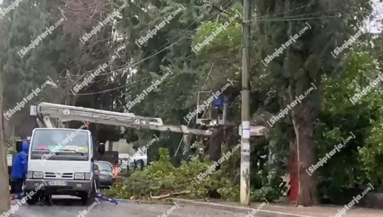 Elbasan/ Era e fortë rrëzon pemën, bie mbi një kioskë (VIDEO)