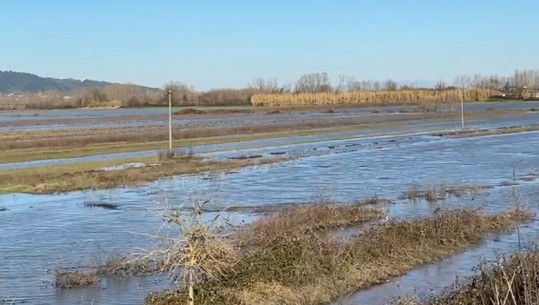 Fushë-Krujë/ Dalja e lumit Ishëm nga shtrati, qindra hektarë tokë bujqësore ende nën ujë