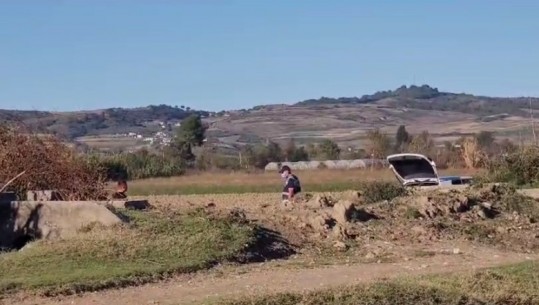 Mbetjet kockore në Tepelenë u gjetën nga banorë të zonës duke kullotur bagëtitë, çfarë dihet deri më tani nga hetimet