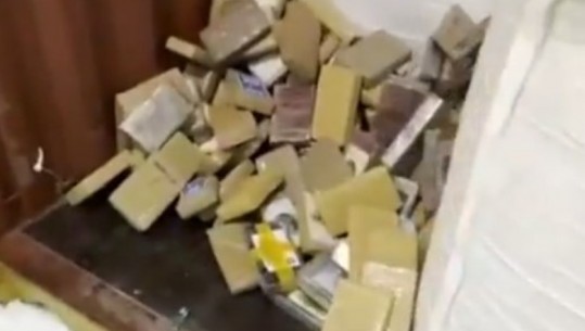 VIDEO/ Një ton kokainë e fshehur në thasët me kafe! Ngarkesa me vlerë 135 milionë euro e nisur nga Belgjika! U kap në portin e Shën Petersburg