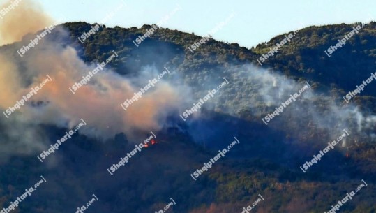 Zjarr në masivin pyjor në Syrin e Kaltër, ndërhyrja e vështirë për shkak të terrenit