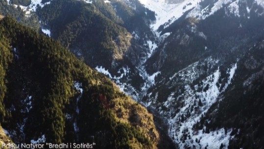 Pamje mahnitëse nga Bredhi i Sotirës, Rama: Parku Natyror ku mbrohen habitatet dhe speciet e veçanta