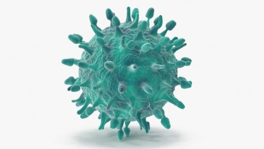 Çfarë është virusi AH1N1, simtomat dhe si mund të parandalohet 