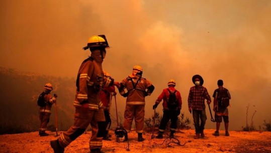 Kili pushtohet nga zjarret, 46 të vdekur dhe mbi 1000 shtëpi të djegura