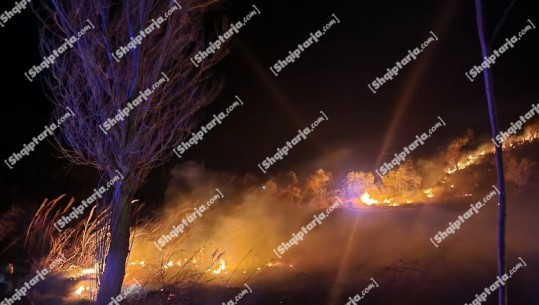 Tjetër zjarr në Vlorë, flakët në Orikum përhapen në kodrat e qytetit! Rrezikohet edhe një banesë