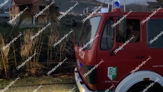 Elbasan/ Zjarri përfshin tokën në lagjen ’28 nëntori’, ndërhyjnë zjarrfikëset (VIDEO)