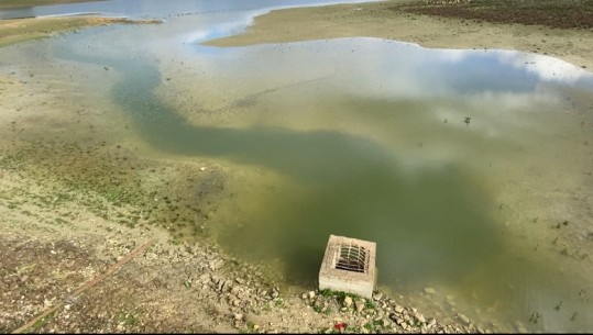 Rezervuari i Kurjanit në Roskovec po thahet, niveli i ujit në pikën kritike, 5 mijë hektarë tokë pa vaditje