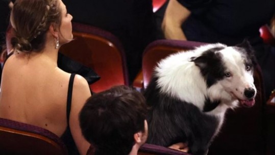 Oscars 2024/ Qeni Messi në natën e yjeve, ndjek nga afër ndarjen e çmimeve