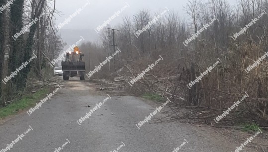 Erë e fortë në Krujë, ka dëmtime në rrjetin elektrik, disa fshatra pa energji