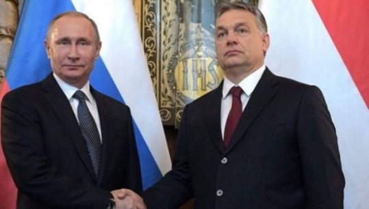 Ambasadori amerikan paralajmëron Hungarinë për lidhjet 'e ngushta' me Rusinë
