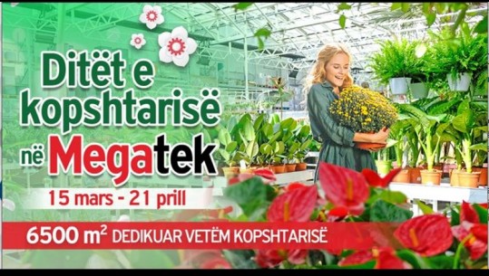 Megatek hap dyert e kopshtit botanik 'Garden Center': 16,000 metra katror e më shumë se 4500 lloje lulesh