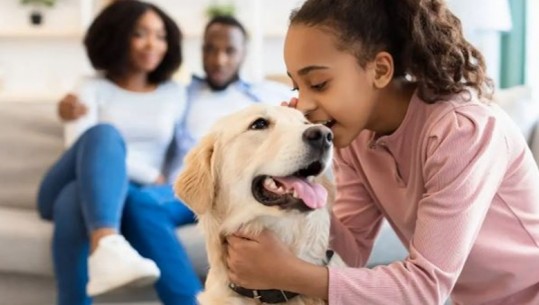 Studimi: Ndërveprimi me qentë përmirëson masivisht shëndetin mendor