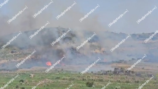 Vlorë, zjarr në fshatin Penkovë, digjen sipërfaqe me kullota e bimësi
