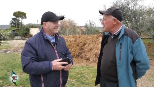 Veri Jug - Toka dhe bimët, historia e një agronomi - Shqiptarja.com