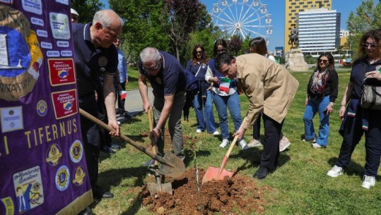 Fondacioni italian nga Molise, mbjell ullinj autoktonë nga Termolij në Parkun Europa, Veliaj: Simbol i miqësisë mes dy vendeve tona