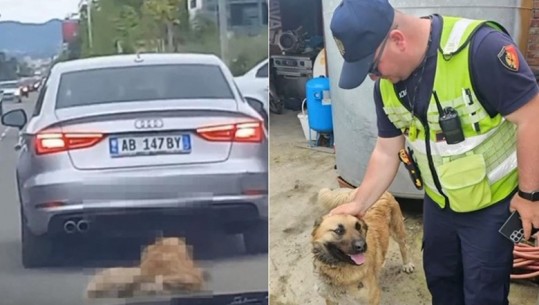 Tiranë/ Pamje tmerri, shoferi tërheq zvarrë qenin me makinë! Vihet në hetim dhe gjobitet me 6 mijë lekë (VIDEO)