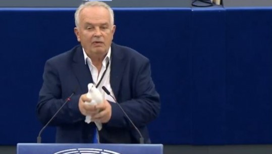 VIDEO: Eurodeputeti nxjerr nga çanta pëllumbin dhe e lëshon në sallën e Parlamentit Europian