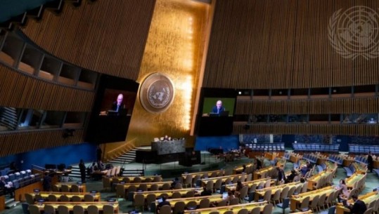 Rezoluta për Srebenicën dërgohet në asamblenë e OKB-së
