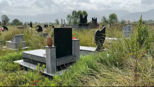 Varrezat e reja në Lushnjë, opozita: Janë ndërtuar në vend të papërshtatshëm