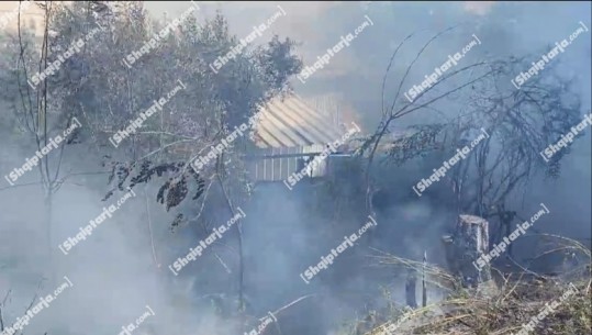 Zjarr në afërsi të ish-fushës së plehrave në Fier (VIDEO)