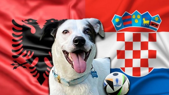 VIDEO/ ‘Shqipëria apo Kroacia?’ qeni Roko bën parashikimin në 'Minuta Zero' se kush fiton