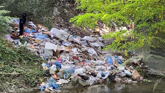 Patos/ Lumi Gjanica mbulohet nga mbetjet urbane, kryetari i bashkisë për Report Tv: Tani po e marr vesh, do ta zgjidhim