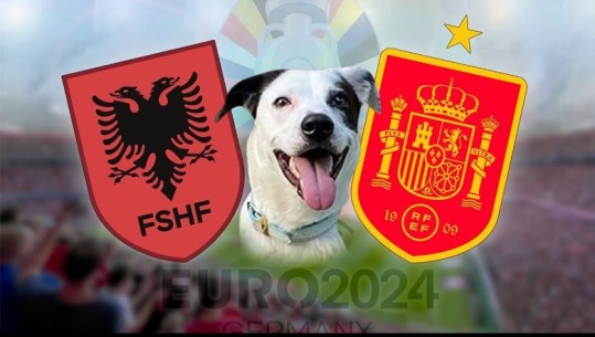 Ndeshja Shqipëri-Spanjë, qeni Roko parashikon rezultatin në ‘Minuta Zero’