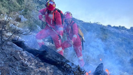 Shuhet zjarri në Llogara të Vlorës, drejtori i Zjarrfikëses: I qëllimshëm! Peleshi: Piromanët do përballen me ligjin