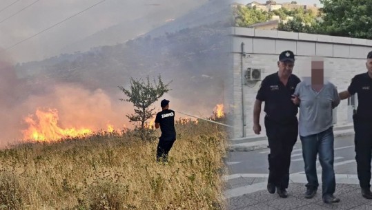 Zjarri në Dropull, arrestohet 39 vjeçari, akuzohet se i vuri flakën pyjeve në fshatin Frashtan 