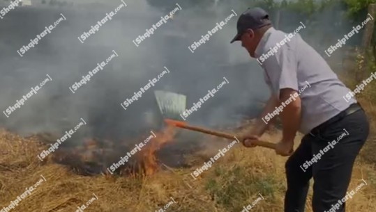 VIDEOLAJM/ Zjarri në Devoll/ Shefi i zjarrfikësve Memaliaj shuan flakët me lopatë, shkrumbohet toka krah aksit Gjirokastër - Kakavijë