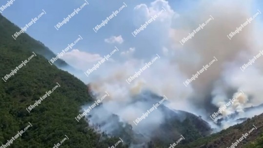 Lezhë, zjarr në pyjet e zonës së Shkopetit, rrezikohen 5 banesa dhe 2 stane