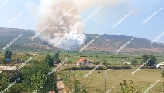 Video/ Zjarr në malin e Rrencit, flakët përhapen për shkak të erës