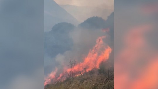 Gjirokastër/ Zjarr në fshatin 'Arshin Lengo', era favorizon përhapjen e flakëve
