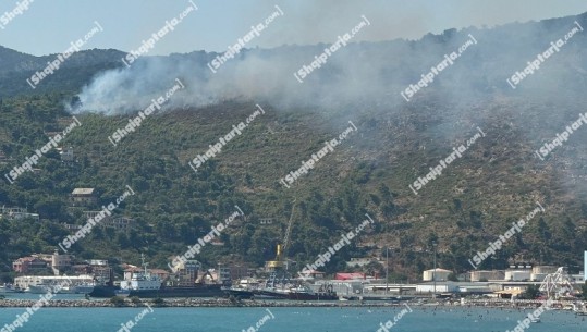Zjarr në masivin pyjor pranë Portit të Shëngjinit, flakët iu afrohen banesave! Turistët duke pushuar (VIDEO)