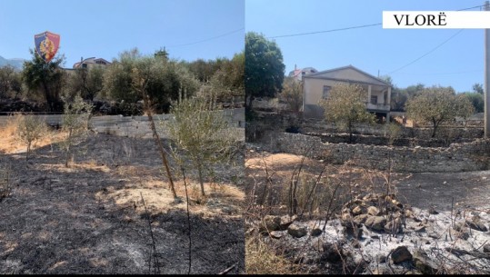 Vlorë/ Dogjën me zjarr sipërfaqe me bimësi në fshatrat Delisuf dhe Gjorm, nis hetimi për dy persona