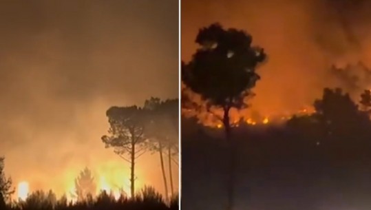 Shëngjin/ Zjarri përparon drejt zonës turistike Rana e Hedhun, rrezikohen banesa! Evakuohen banorët (VIDEO)