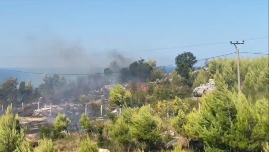 Vijon zjarri në Shëngjin, Report Tv sjell pamjet