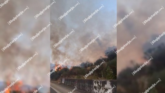 Vijon zjarri në Tepelenë, flakët shumë pranë rrugës në fshatin Luzat! Në ndihmë vjen një helikopter Cougar, ministri Pirro Vëngu në vendngjarje