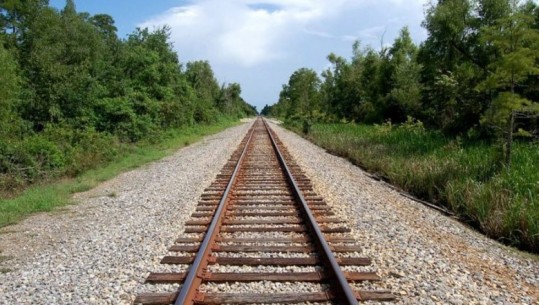 Hekurudha Vorë-Hani i Hotit, gati tenderi për projektin 356 milionë euro
