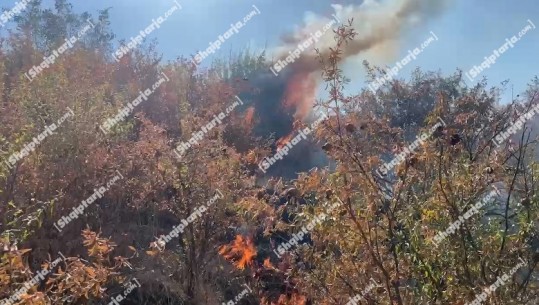 Zjarri përfshin Parkun Kombëtar të Qafë-Shtamës, e vështirë të ndërhyhet nga terreni! Në operacion edhe 50 forca të ushtrisë